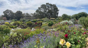 River Gardens Axedale Pet Friendly Farmstay B&B